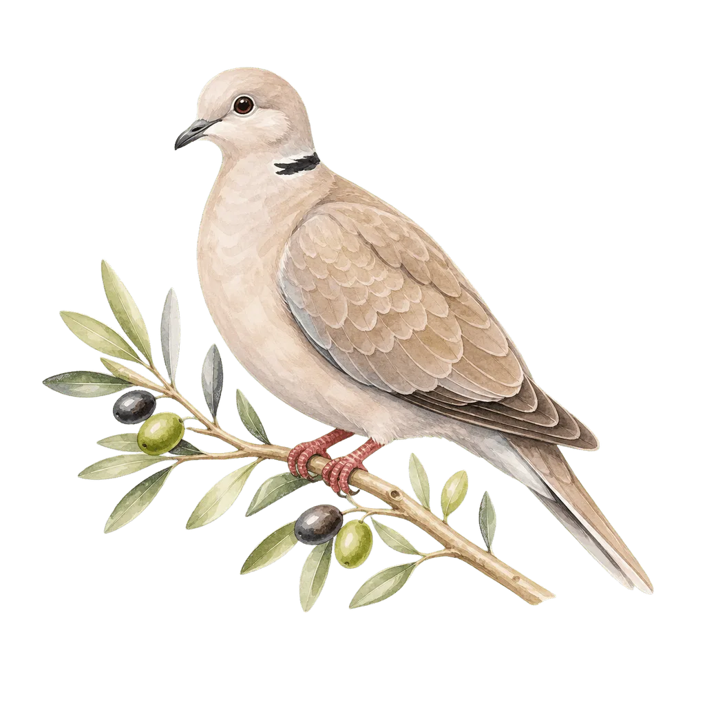 Turturica