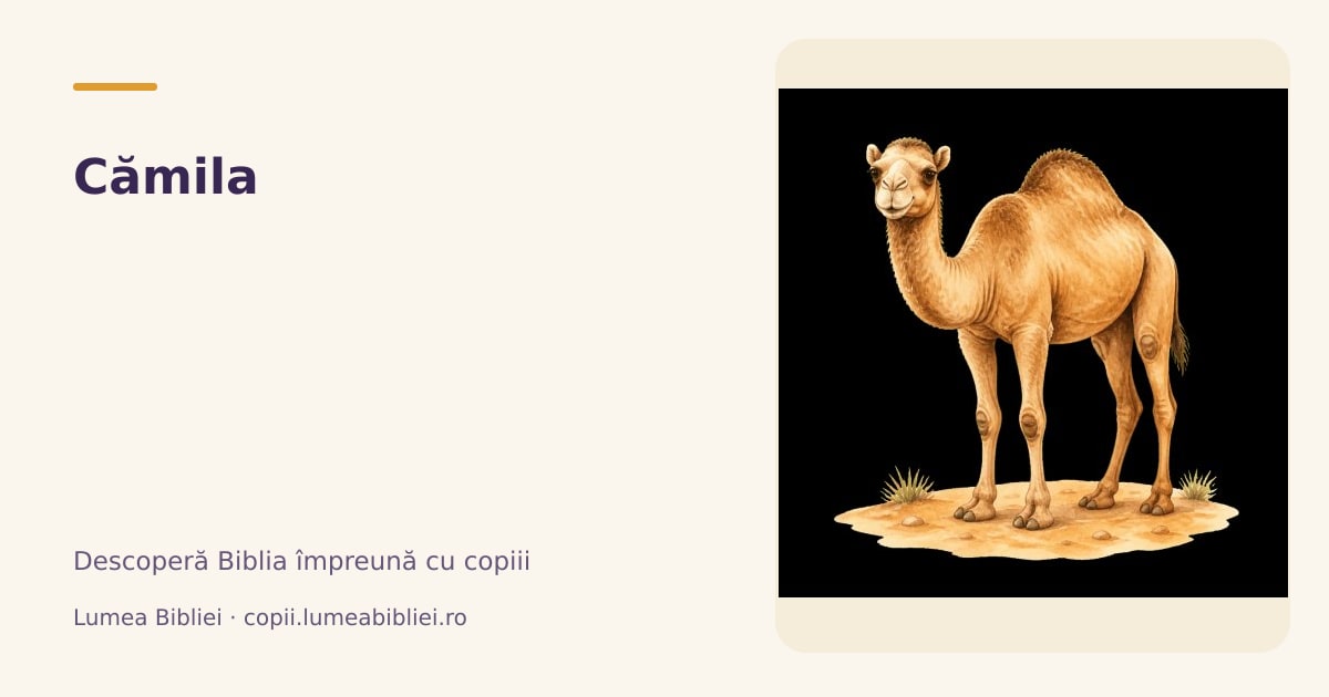 Cămila — Animale din Biblie, Lumea Bibliei