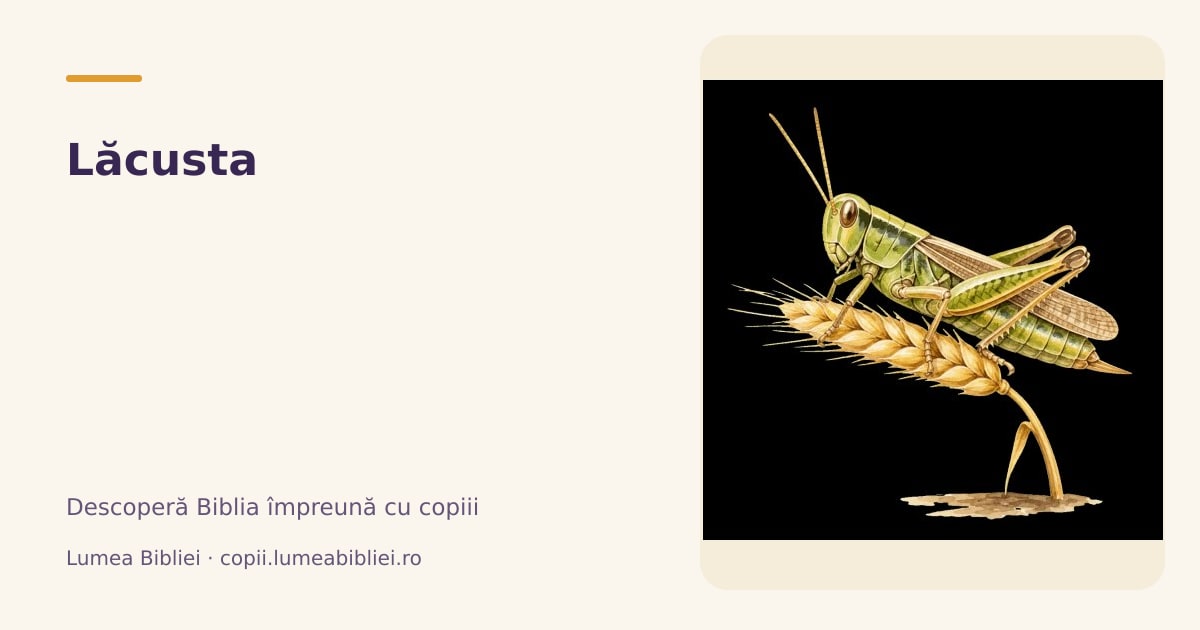 Lăcusta — Animale din Biblie, Lumea Bibliei