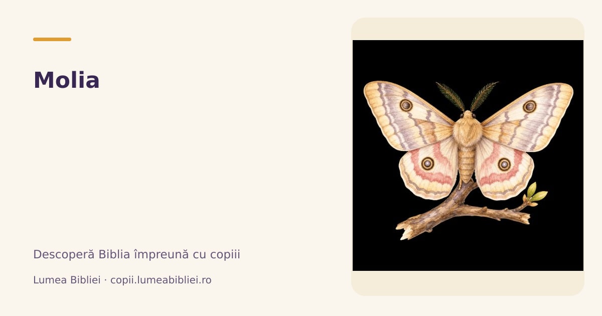 Molia — Animale din Biblie, Lumea Bibliei