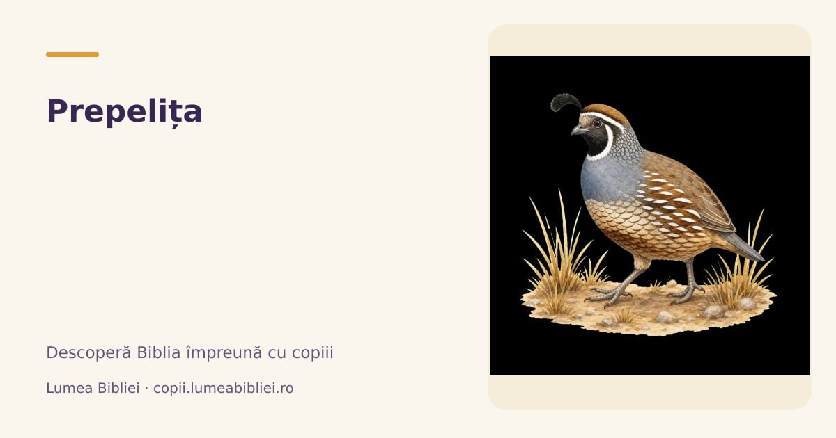 Prepelița — Animale din Biblie, Lumea Bibliei