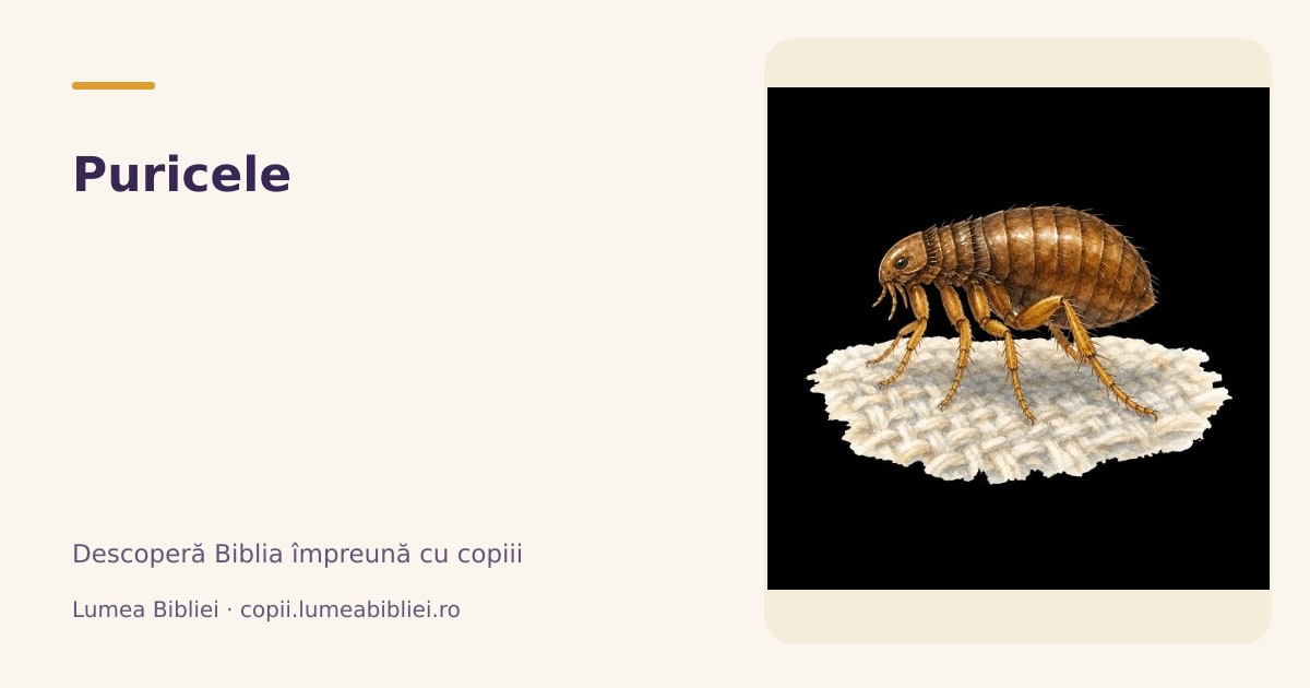 Puricele — Animale din Biblie, Lumea Bibliei