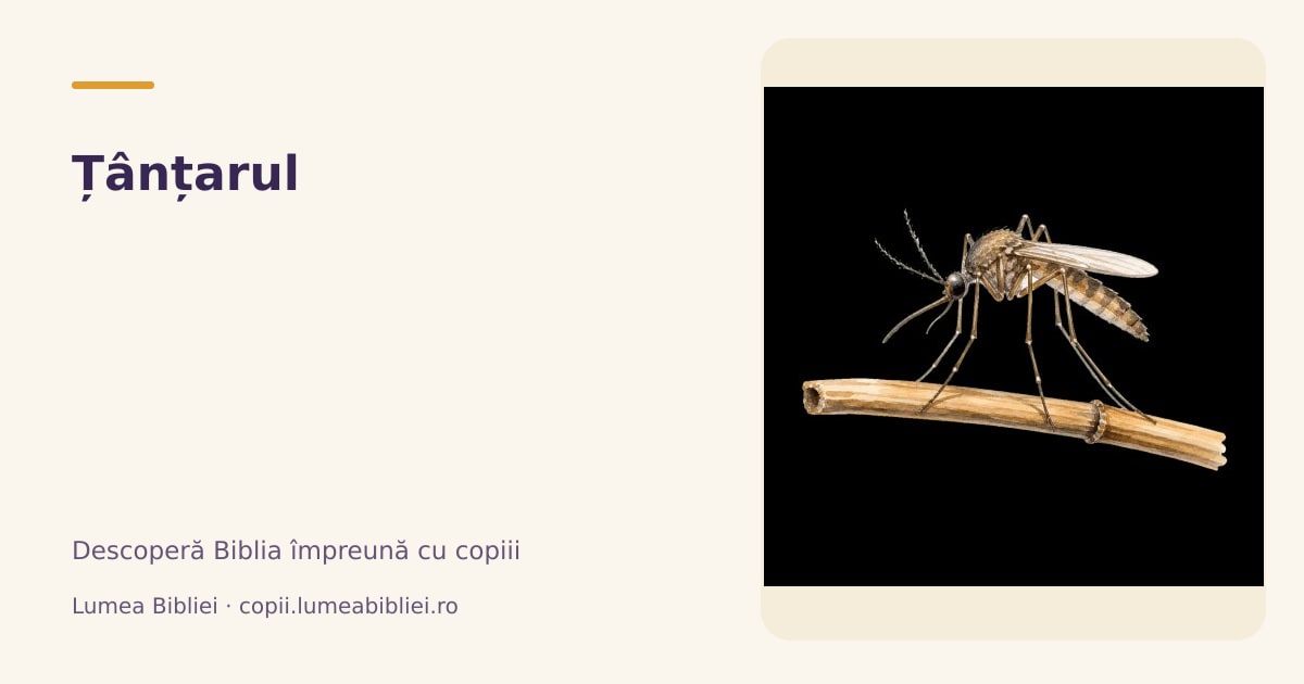 Țânțarul — Animale din Biblie, Lumea Bibliei