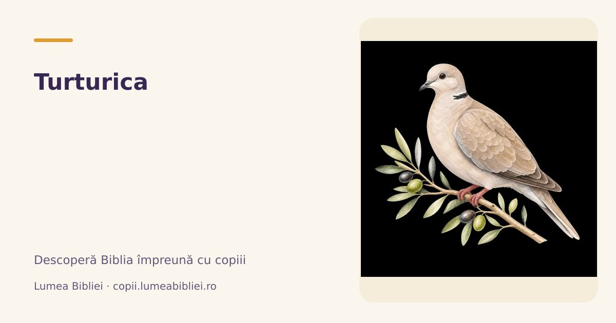 Turturica — Animale din Biblie, Lumea Bibliei